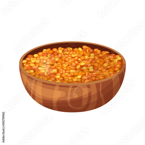 lentil food cartoon vector illustration