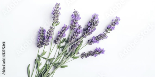 Lavender Flatlay: Minimalist Aesthetics for Beauty & Well-Being. AI Generated Art. Wallpaper, Background. Concept Art with Whitespace for Beauty and Health.