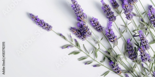 Ethereal Lavender  A Floral Flatlay on a White Background. AI Generated Art. Wallpaper  Background. Concept Art with Whitespace for Beauty and Health.