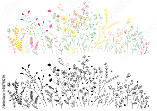 Set of hand drawn meadow flowers and plants. Vector illustration.