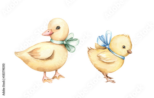 Cute yellow duckling and chicken with bows on the neck. Watercolor hand drawn illustration isolated on white background. Kids banner, poster, greeting card, invitation design element.
