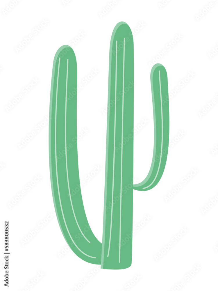 Cactus illustration in a flat style on a white background. Home plants cactus illustration. Cactus illustration in a flat style on a white background. Home plants cactus illustration.