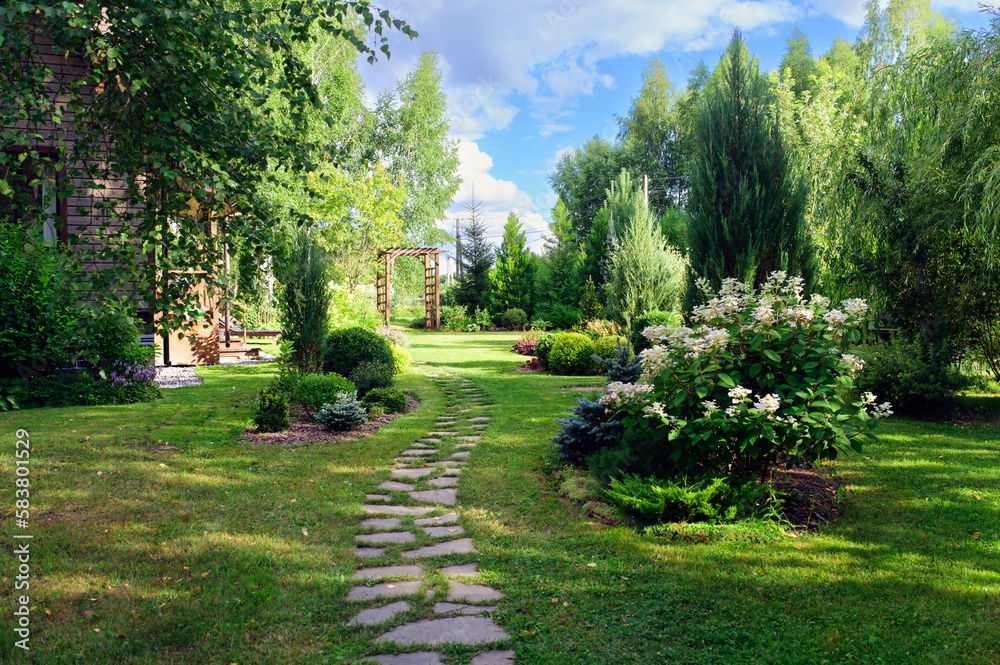 garden summer view with stone pathway, hydrangea paniculata 