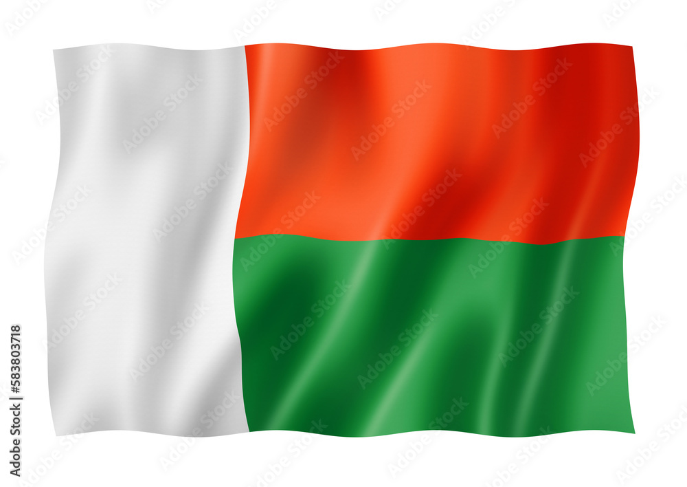 Madagascar flag isolated on white