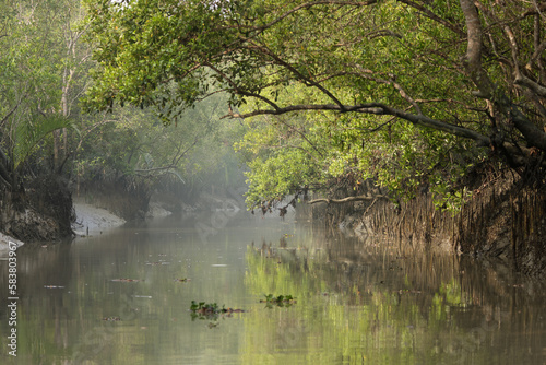 A canal in Sundarbans.Sundarbans is the biggest natural mangrove forest in the world  located between Bangladesh and India.this photo was taken from Bangladesh.