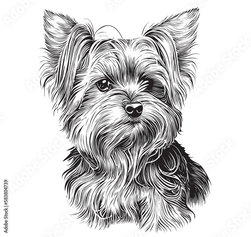 Yorkshire terrier dog hand drawn sketch illustration