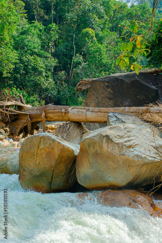 River streams in the forest in Hutan Lipur Belukar Bukit, Kuala Berang, Terengganu, Malaysia. photo