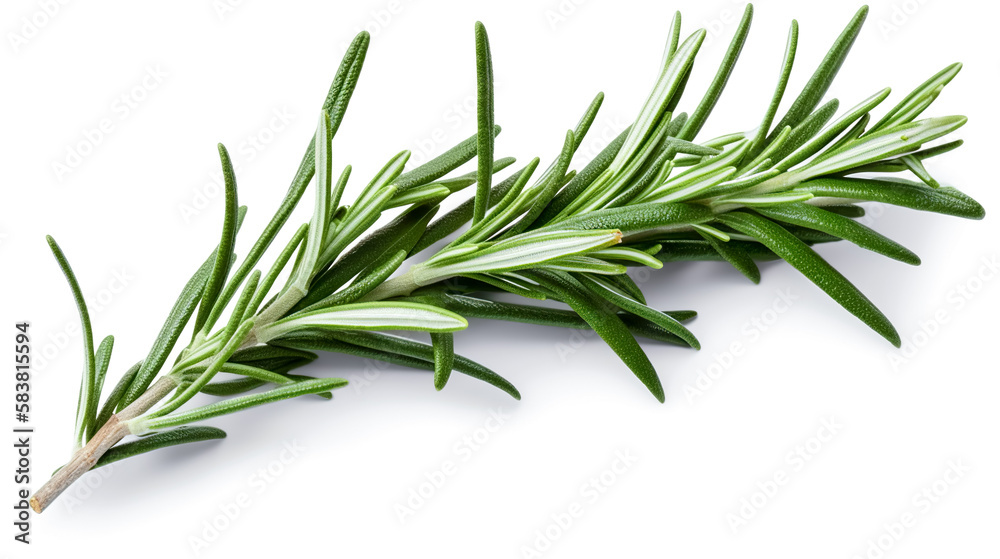 rosemary leaves. Fresh vegetables isolated on white background. Healthy food concept. Generative AI rosemary leaves. Fresh vegetables isolated on white background. Healthy food concept. Generative AI