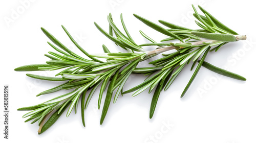 rosemary leaves. Fresh vegetables isolated on white background. Healthy food concept. Generative AI