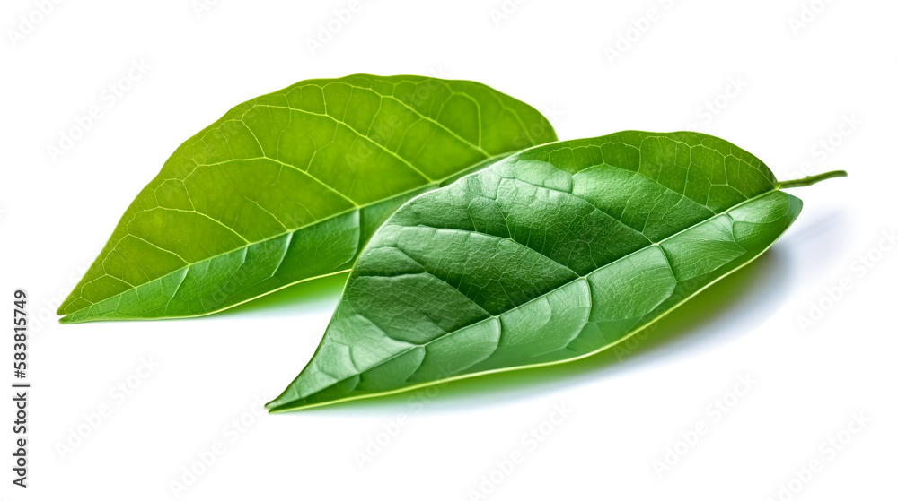 Obraz premium chaplu_leafs. Fresh vegetables isolated on white background. Healthy food concept. Generative AI
