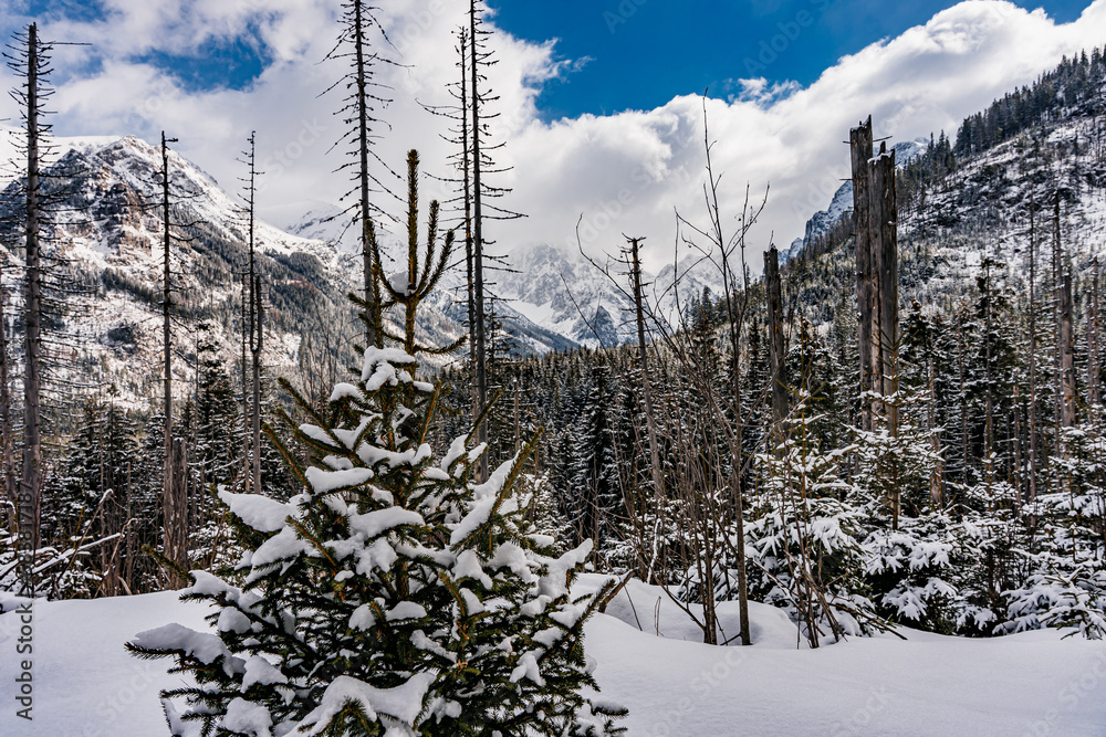 Góry, Tatry Wysokie w rejonie Morskiego Oka zimą w Polsce