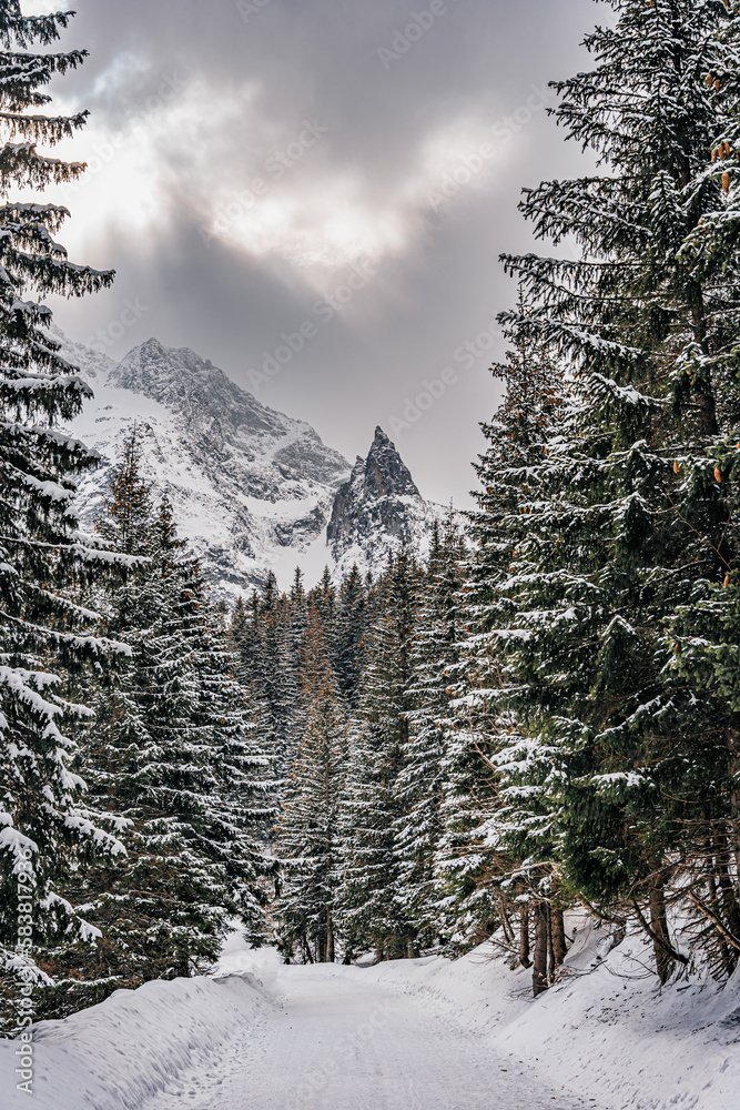 Góry, Tatry Wysokie w rejonie Morskiego Oka zimą w Polsce