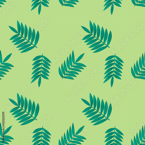 Seamless vector pattern with acacia branches and green background. Vegetal nature print for textile, paper.