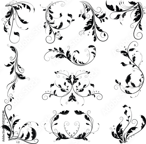 Black delicate abstract floral graphic with curly branches and ornamental swirl leaves. Beautiful floral collection.
