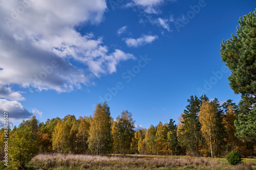 Rural landscape of wet meadows and areas in the forest