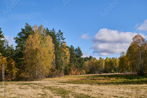 Rural landscape of wet meadows and areas in the forest