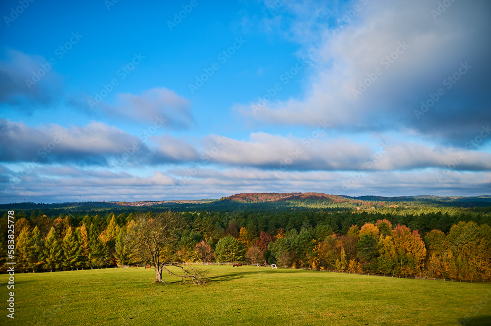 Vast autumn panorama of Roztocze hills and forests