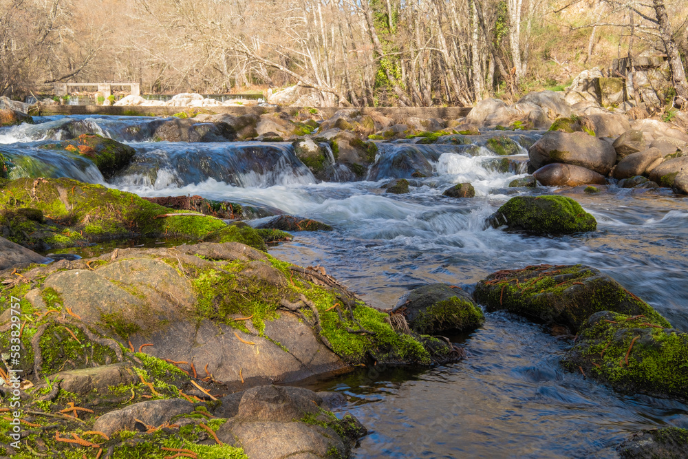 Fototapeta premium Water flowing over rocks in waterfall cascade in a forest