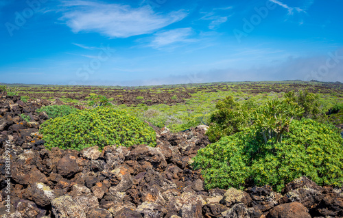 View on the volcanic landscape of northern Lanzarote, one of the Canary Islands of Spain