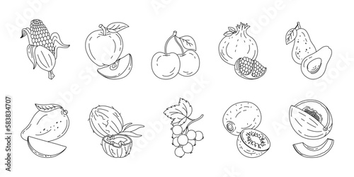 Fruits and berries doodle set Vector black and white illustration isolated on a white background