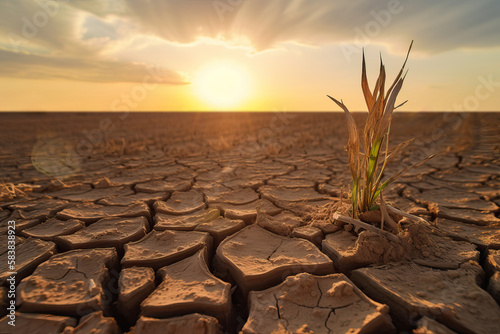 Dried plant on a cracked barren land, climate change concept. Generative AI illustration