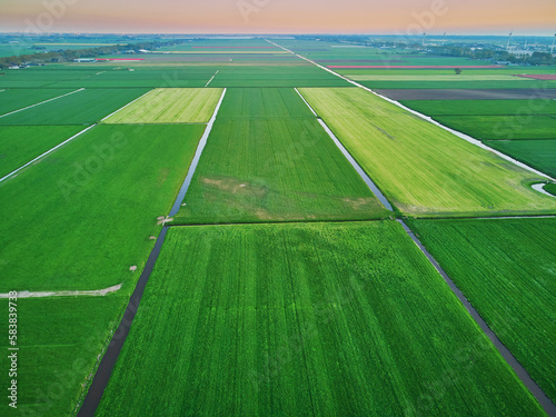 Aerial drone view of typical Dutch fields and polders