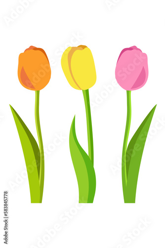 Set of yellow, pink and orange tulips isolated on white background. Flowers vector illustration for card, poster, print.