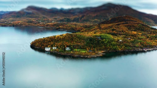 Forest-covered coast of the Sandhornoya island Several houses stand on the shore photo
