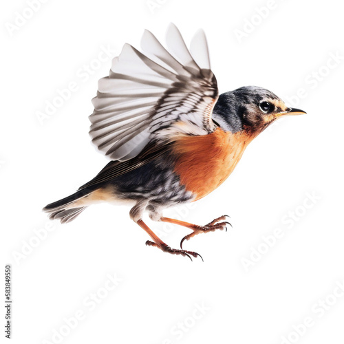 Isolated flying robin portrait: bird with redbreast. Generative AI. © PNG-Universe