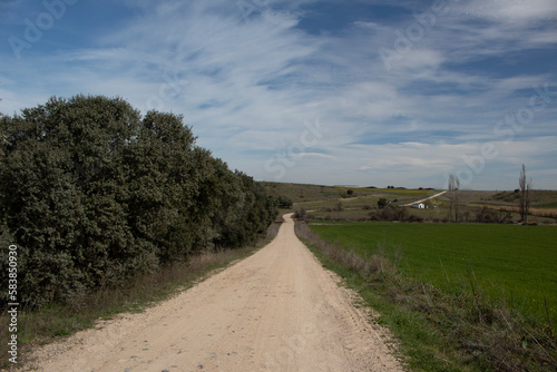 road in the countryside © Felix Herencias