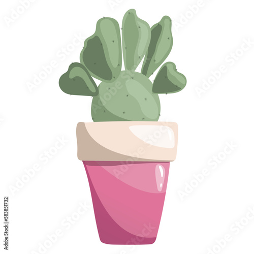 Green succulent opuntia in pink ceramic pot on a white. Prickly pear, pear cactus. tuna, sabra, nopal, paddle cactus