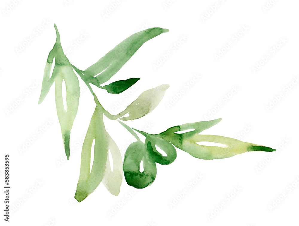 Olive branch watercolor illustration. Ripe green fruits, juicy leaves on sprig of mediterranean tree. Botanical sketch, natural healthy food. Hand drawn clipart isolated on white background