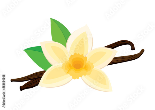 Vanilla flower bloom and spice icon vector. Orchid vanilla flower and dried vanilla sticks vector isolated on white background
