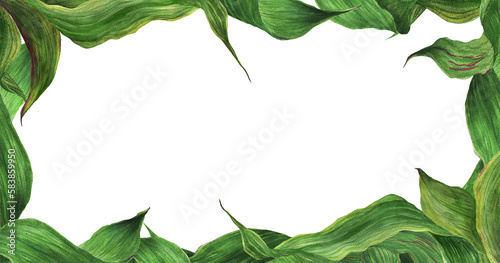 Green leaves botanical border. Romantic composition for weddings and Valentines Day. Watercolor illustration, frame for congratulations and invitations