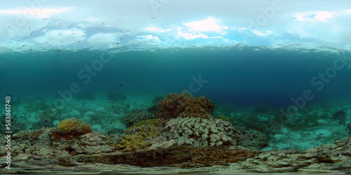 Fototapeta Naklejka Na Ścianę i Meble -  Colourful tropical coral reef. Tropical coral reef. Underwater fishes and corals. Philippines. Virtual Reality 360.