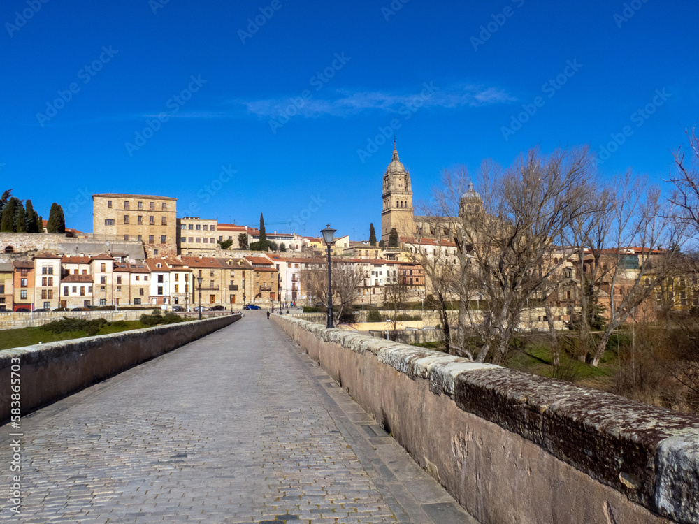 Vista de Salamanca desde el puente romano. Castilla y León, España.