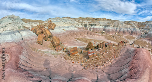 Giant pieces of broken petrified wood in Jasper Forest at Petrified Forest National Park, Arizona photo