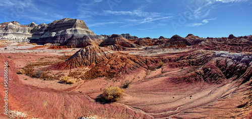 The red bentonite hills of the Red Basin in Petrified Forest National Park, Arizona photo