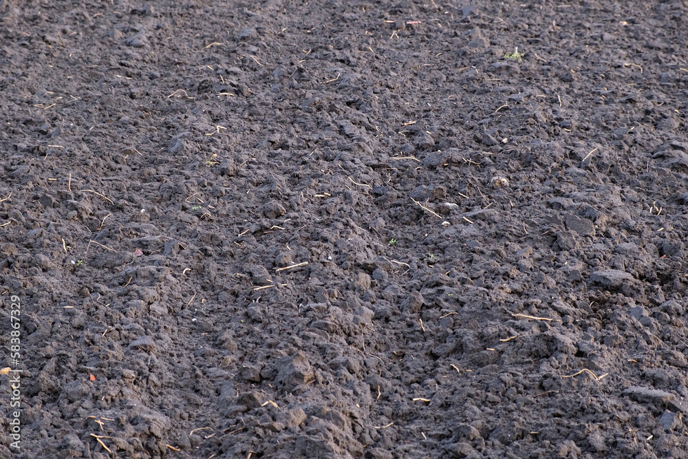 Texture of fertile soil top view. Spring gardening season concept. Loosened earth on the field. Spring sowing of winter wheat. Traces of agricultural machinery on black soil Texture of fertile soil top view. Spring gardening season concept. Loosened earth on the field. Spring sowing of winter wheat. Traces of agricultural machinery on black soil