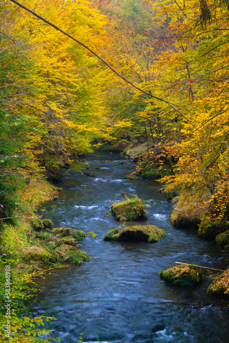 Kamenice River in autumn, Bohemian Switzerland National Park, Hrensko, Decin District, Usti nad Labem Region photo