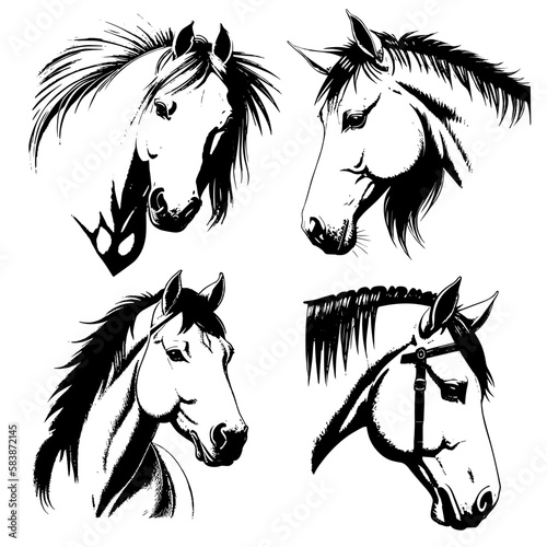 Vector image - vintage horse illustration. Vector illustration of the heads of 4 horses. Monochrome, highlighted on a white background.