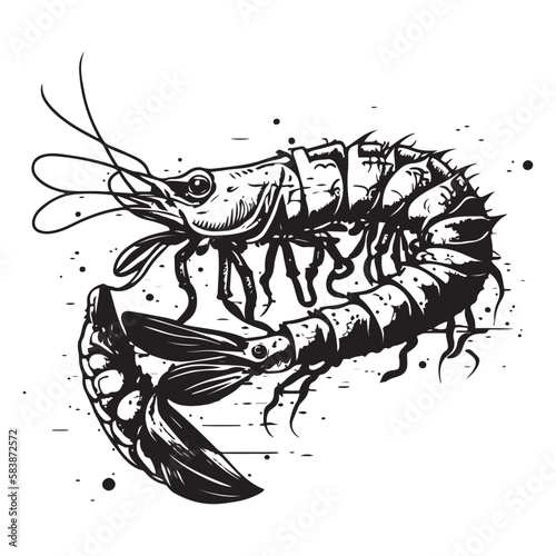 Shrimp vector, shrimp hand drawn sketch black outline vector