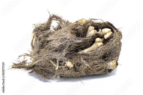 Owl pellet. An Owl's regurgitated remains of undigested prey bones likely of a mouse or small rodent.  Whole unbroken version. Isolated on white background. photo