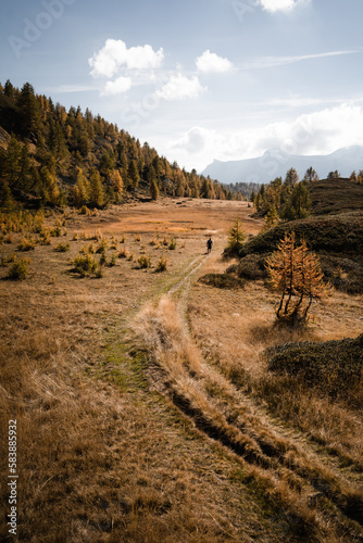 Aerial view of a small meadow in the Alpe Devero, Northern Italy, during autumn