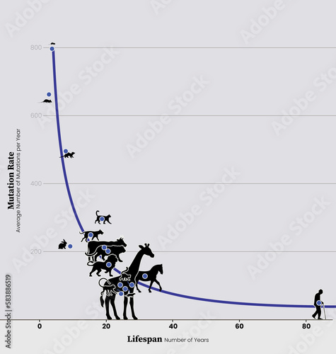 Lifespan and mutation rate, graph photo