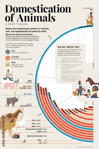 Domestication of animals, illustration photo