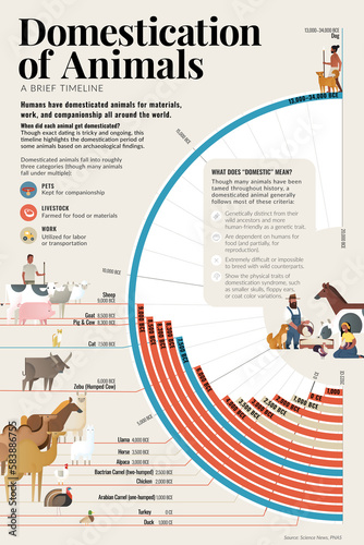 Domestication of animals, illustration