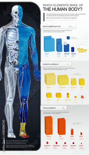 Elements of the human body, illustration