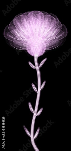 Modern futuristic pink mesh texture flower on black background 