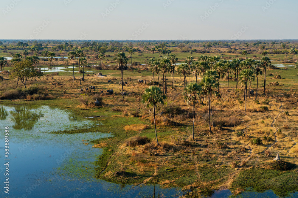 Aerial view of the Okavango Delta, UNESCO World Heritage Site Aerial view of the Okavango Delta, UNESCO World Heritage Site